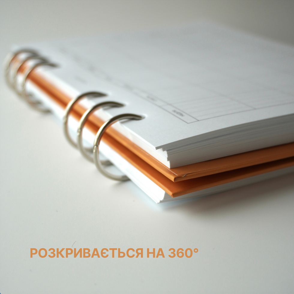 Набір картонних титулок А5 | з кільцями 2,5 см 10991-2 фото