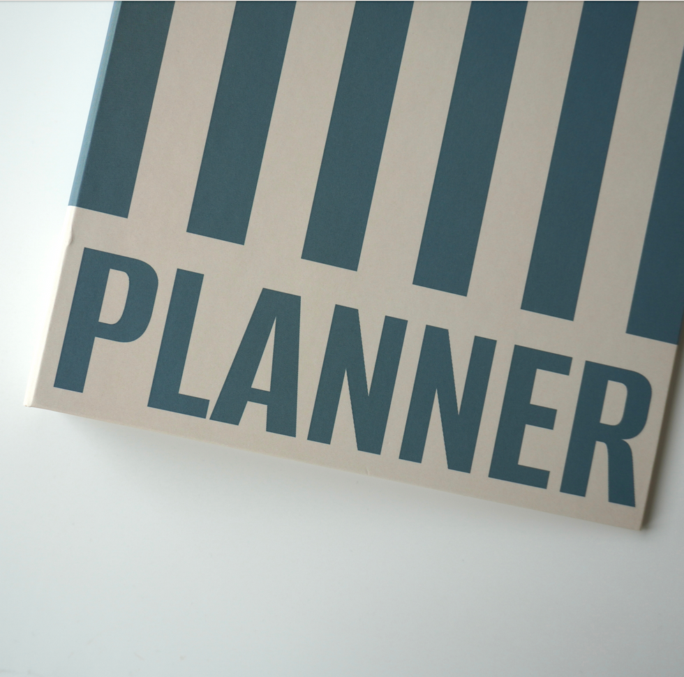 Обкладинка картонна для планера на кільцях | Planner | A5 | блакитна в смужку 10992 фото